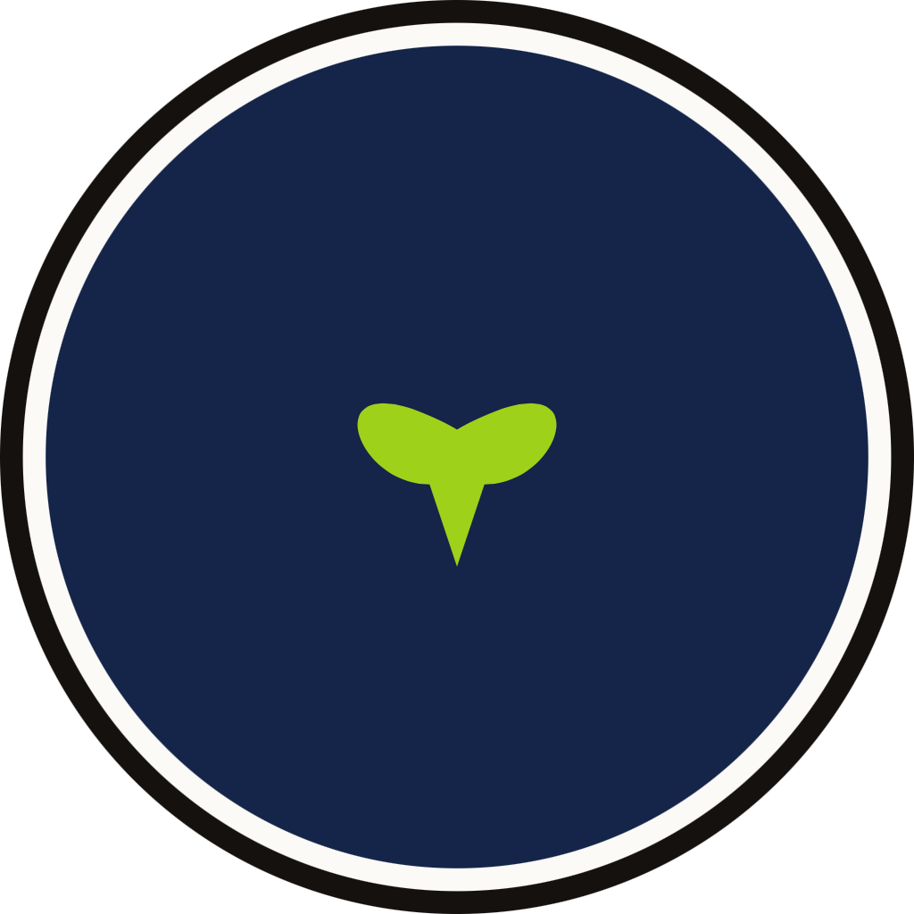 Seattle Seahawks